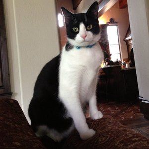 Meet your Posher, Elizabeth